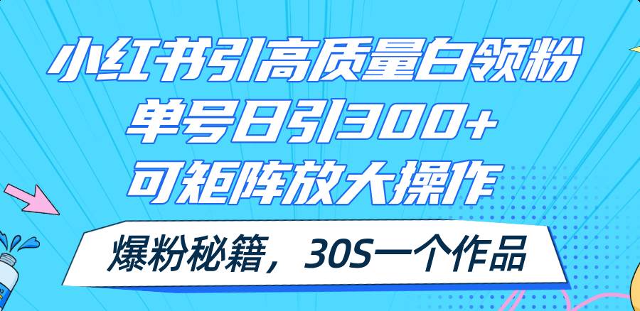 小红书引高质量白领粉，单号日引300+，可放大操作，爆粉秘籍！30s一个作品-选优云网创