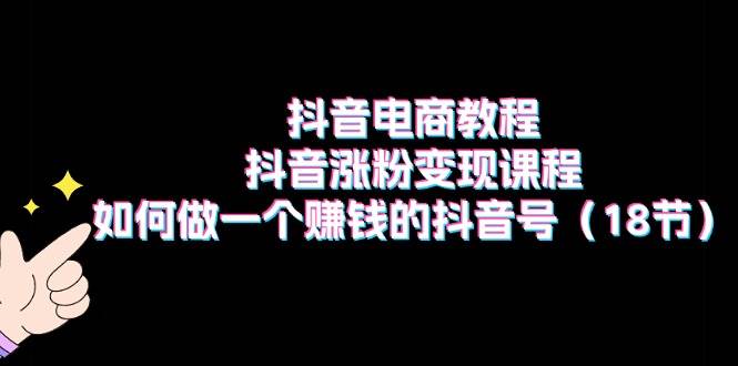 抖音电商教程：抖音涨粉变现课程：如何做一个赚钱的抖音号（18节）-选优云网创