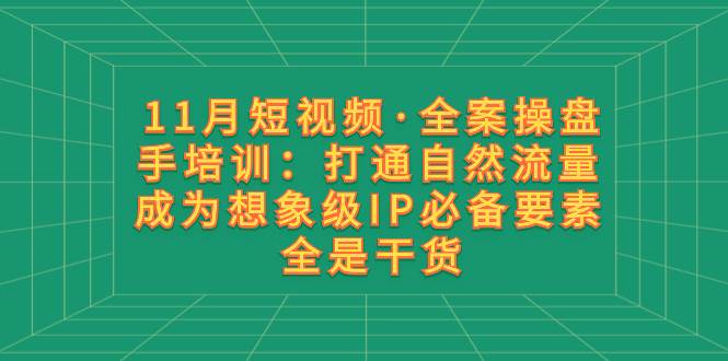 11月短视频·全案操盘手培训：打通自然流量 成为想象级IP必备要素 全是干货-选优云网创