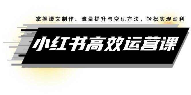 小红书高效运营课：掌握爆文制作、流量提升与变现方法，轻松实现盈利-选优云网创