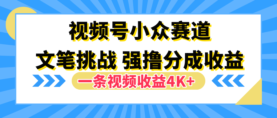 视频号小众赛道，文笔挑战，一条视频收益4K+-选优云网创