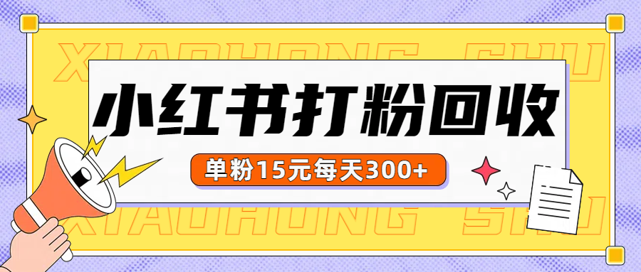 小红书打粉，单粉15元回收每天300+-选优云网创