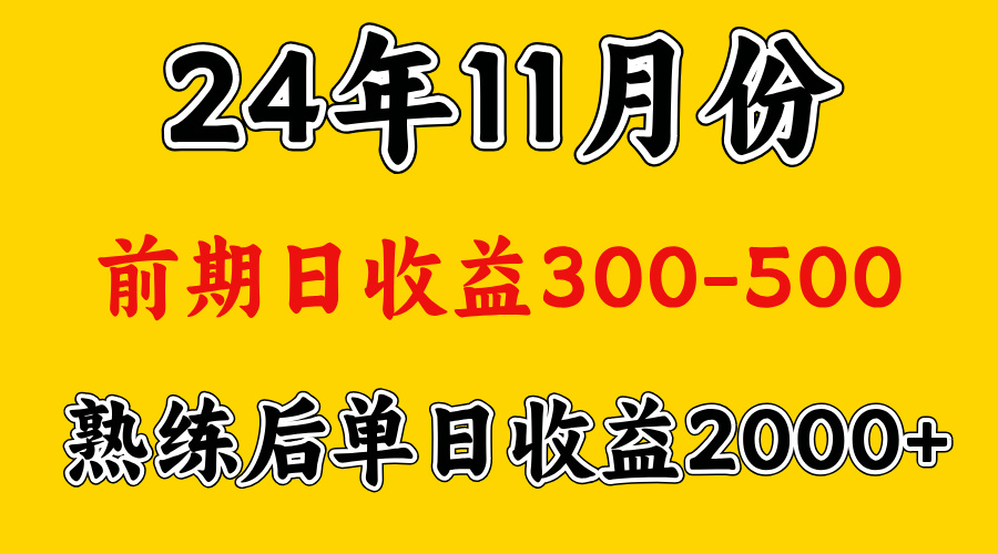 轻资产项目，前期日收益500左右，后期日收益1500-2000左右，多劳多得-选优云网创