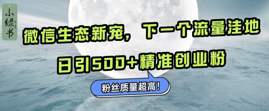 微信生态新宠小绿书：下一个流量洼地，粉丝质量超高，日引500+精准创业粉，-选优云网创