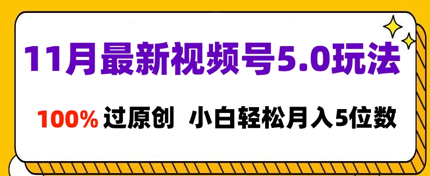 11月最新视频号5.0玩法，100%过原创，小白轻松月入5位数-选优云网创